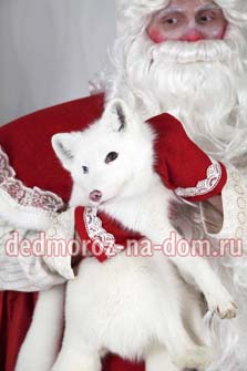 ������� ���� ������ � ���������� -  �������� ������������